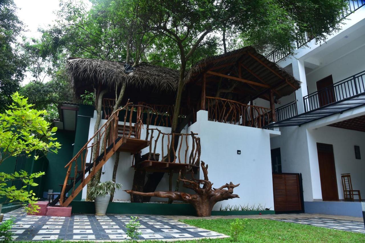 Eden Grand Hotel Dambulla Kültér fotó
