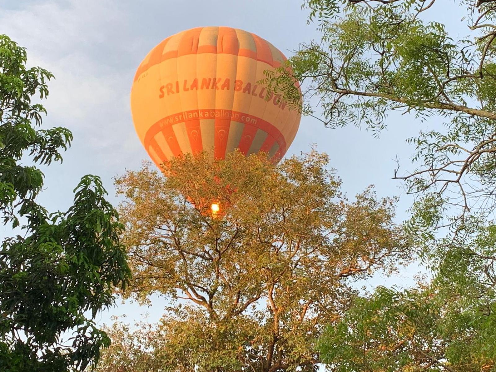 Eden Grand Hotel Dambulla Kültér fotó
